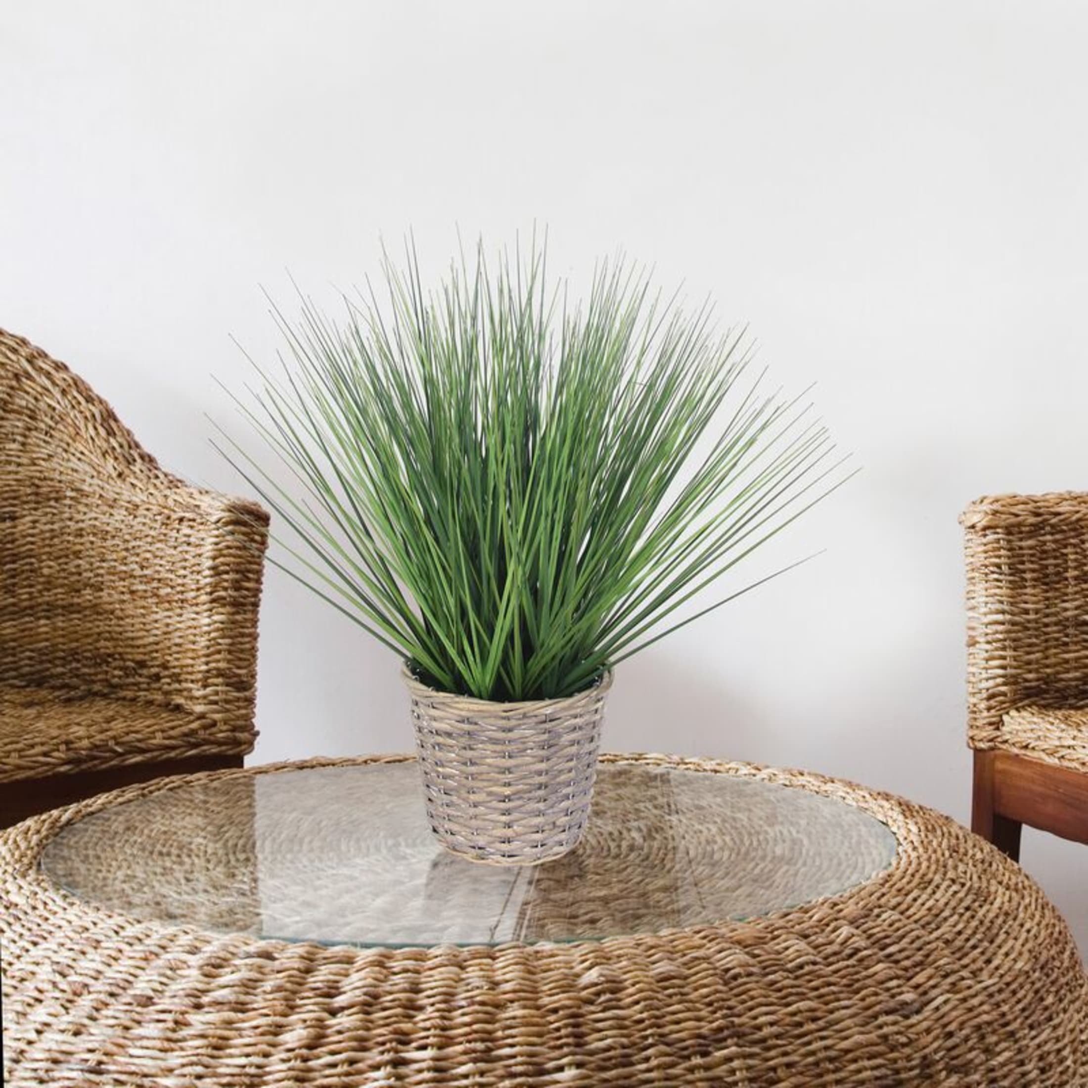 Elements 20-inch Grass in Gray Willow Basket, Green