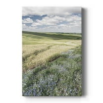 Wildflower Farm Premium Gallery Wrapped Canvas - Ready to Hang