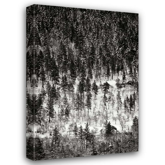 Vitaly Geyman 17x24 Gallery Wrapped Canvas Wall Art Titled - Winter Mosaic II