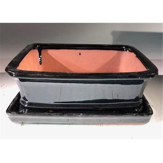Pot à Bonsaï en Céramique 8 x 6 x 3 Po avec Plateau d'Humidité, Noir - Rectangle