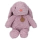 thumbnail image 1 of Conejo de peluche juguetes lindo suave relleno alivio del estrés muñeca animal de peluche para ropa de cama niños cumpleaños San Valentín Navidad púrpura, 1 of 5