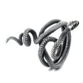 thumbnail image 2 of ZMY Home Stainless Steel Snake Ring Fashionable and Edgy Serpent Design Jewelry (9), 2 of 6