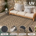 thumbnail image 2 of DEORAB Outdoor Rug 5'x 8' Polypropylene Surface Washable UV-Resistant Carpet Patio Deck Porch，Coffee, 2 of 12