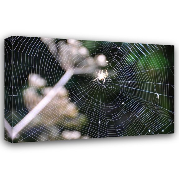 Logan Thomas 18x13 Gallery Wrapped Canvas Wall Art Titled - Spiderweb II