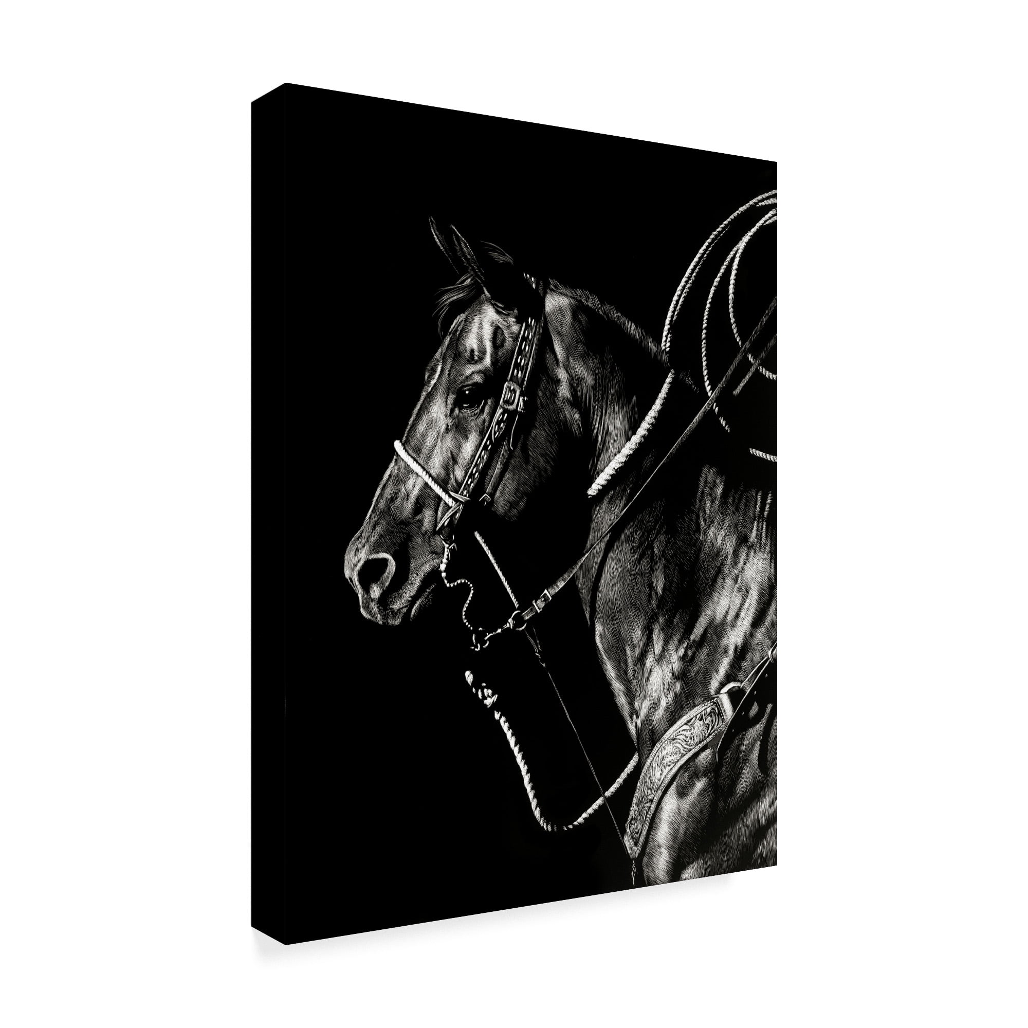 Trademark Fine Art 'Scratchboard Rodeo V' Canvas Art by Julie T. Chapman