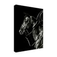thumbnail image 2 of Trademark Fine Art 'Scratchboard Rodeo V' Canvas Art by Julie T. Chapman, 2 of 4