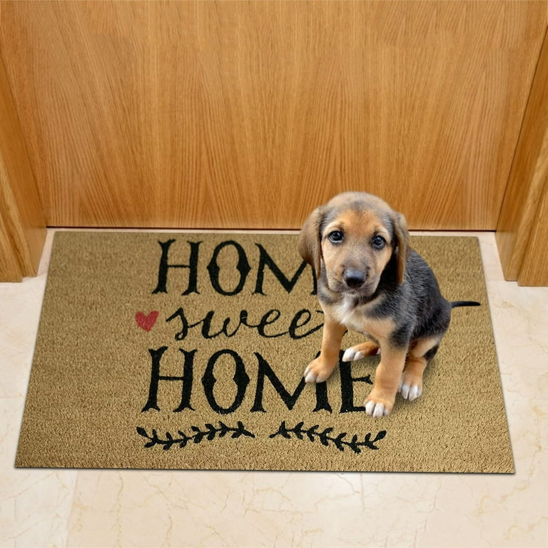 1pc Door Mat Outdoor, Welcome Mats Outside, Large Front Door Mats