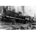thumbnail image 2 of Art.com Logging Train carrying men and 12 foot diameter Fir Trees Photograph - Cascades, WA Art Print by Lantern Press, 18" x 12", 2 of 4