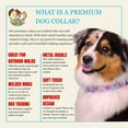thumbnail image 3 of Country Brook Petz® Premium Watercolor Peonies Dog Collar, Small, 3 of 6