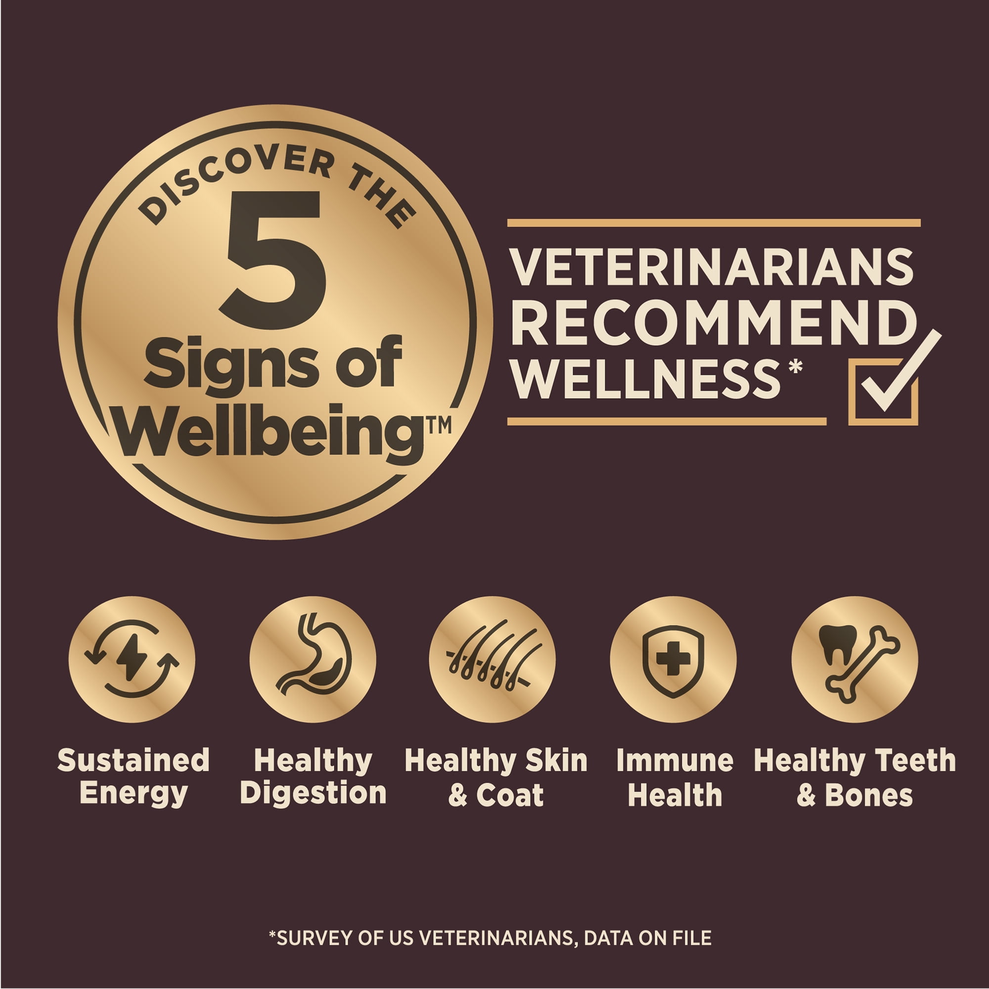 Wellness CORE Digestive Health Small Breed Adult Dry Dog Food, Wholesome Grain Kibble, Sensitive Stomach, Natural, High Protein, Chicken Recipe, 12 lb Bag