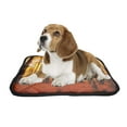 thumbnail image 2 of PKQWTM Autumn Forest Lake Birch Trees Pet Dog Cat Bed Pee Pads Mat Cushion Potty Dogsblankets Crate Bed Kennel 36x48 inch, 2 of 3