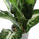 thumbnail image 4 of IFANLANDOR Planta Artificial Decorativa En Maceta Para Hogar Oficina Con Estilo Y, 4 of 6