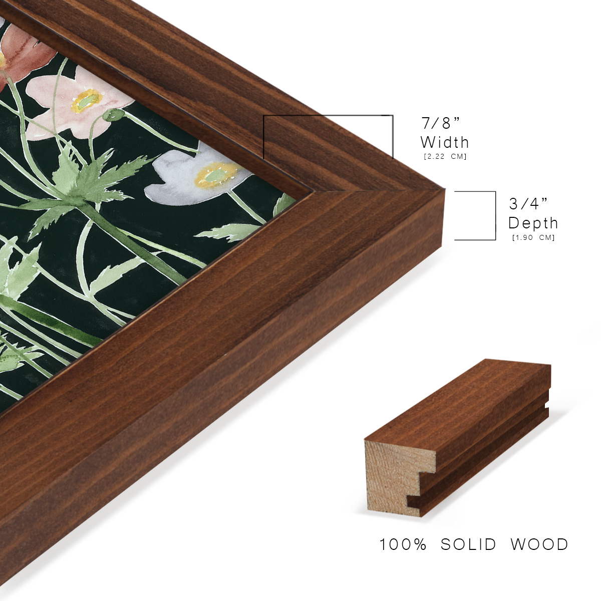Anemone Dance III -Framed Print w/glass-Chestnut