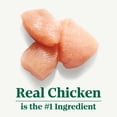 thumbnail image 3 of Nutro Wholesome Essentials Chicken & Brown Rice Natural Kitten Dry Cat Food 1.4kg, 3 of 18
