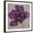Black Frame, variant on Art.com Black Plum 2 Stretched Canvas Print Wall Art by Ariane Martine, 16" x 16"