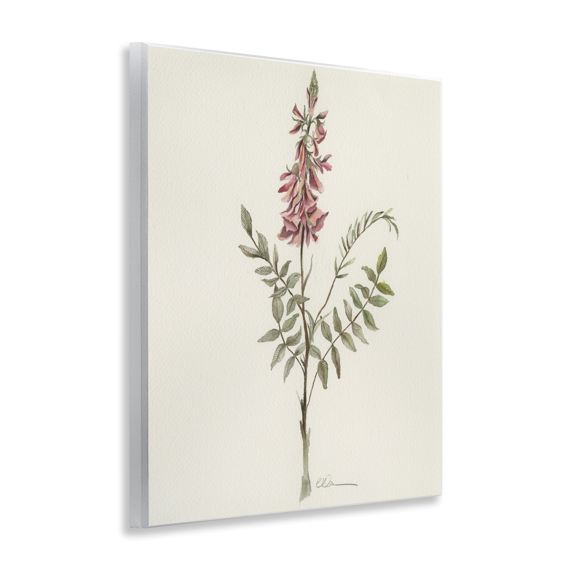 Stupell Industries Nature's Delicate Herb Sprig Wall Plaque Art, design by Cady Driver