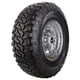 thumbnail image 1 of Llanta MAXTREK MUD TRAC 305/70R16-8C LT 118/115Q, 1 of 1