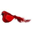 thumbnail image 1 of Bird Toy for Cats Simulation Cat Bird Toy Funny Chirping Bird Toy Interactive Pet Chew Toy for Small Medium Breed Cats, 1 of 5