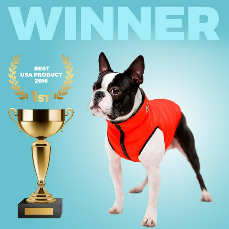 Best dog coat for boston clearance terrier