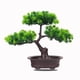 thumbnail image 3 of Planta en maceta falsa decorativa del mostrador de la tabla del escritorio de la oficina del hogar del árbol en maceta artificial de 2 niveles Inevent HA7256-00B, 3 of 7