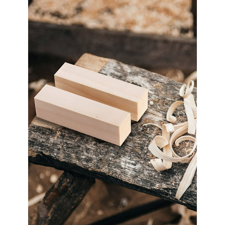 5Pcs Wood Carving Block 2 Sizes Portable Unfinished Wood Block Basswood  Carving Block for Beginner DIY Craft Art Supplies - AliExpress