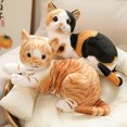 thumbnail image 2 of Juguete de peluche de gato amarillo realista para niñas, muñeco de gato americano, decoración para el hogar, regalo de cumpleaños, 2 of 5