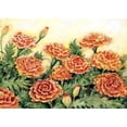 thumbnail image 1 of Pintura de diamante (DB3010) 5D DIY Flor Cuadro de bordado cuadrado (LG200) 45x60cm FLhrweasw Nuevo, 1 of 1