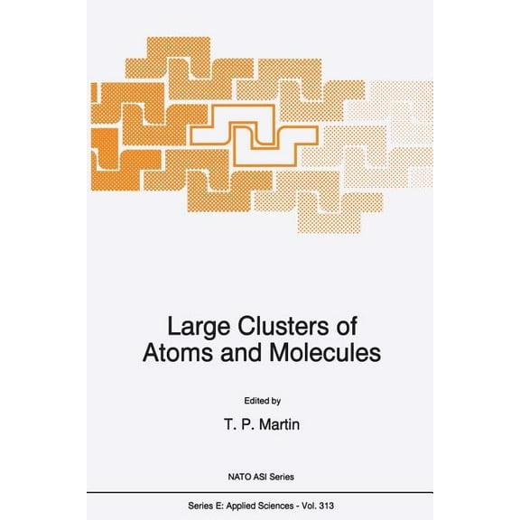 NATO Science Series E: Large Clusters of Atoms and Molecules, Book 313, (Paperback)