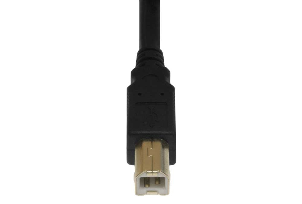 læsning Manga Bløde sf cable, 20 ft usb 2.0 a male to b male cable with ferrite black color -  Walmart.com
