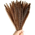 thumbnail image 3 of 20PCS Pheasant Tail Feather for DIY Crafts Home Holiday Party Decorations, 10-12 inch Natural Feather, 3 of 9
