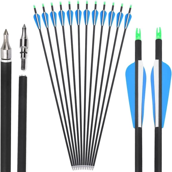 12X Archery  30" Carbon Arrows Vanes SP500 Recurve Compound Bow Hunting Target