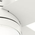 thumbnail image 4 of Hunter Fans - Timpani 44 Inch Low Profile Ceiling Fan with LED Light Kit and, 4 of 5