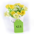 thumbnail image 4 of Etiquetas de Precio Brothersbox Verdes 240 piezas con Cuerdas 4 x 7 cm, 4 of 5