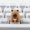 Coffee Capybara Keycap, variant on Artisan Keycaps Cute Capybara Fish Keycaps 1U ESC Custom Keycap for Mechanical Keyboard