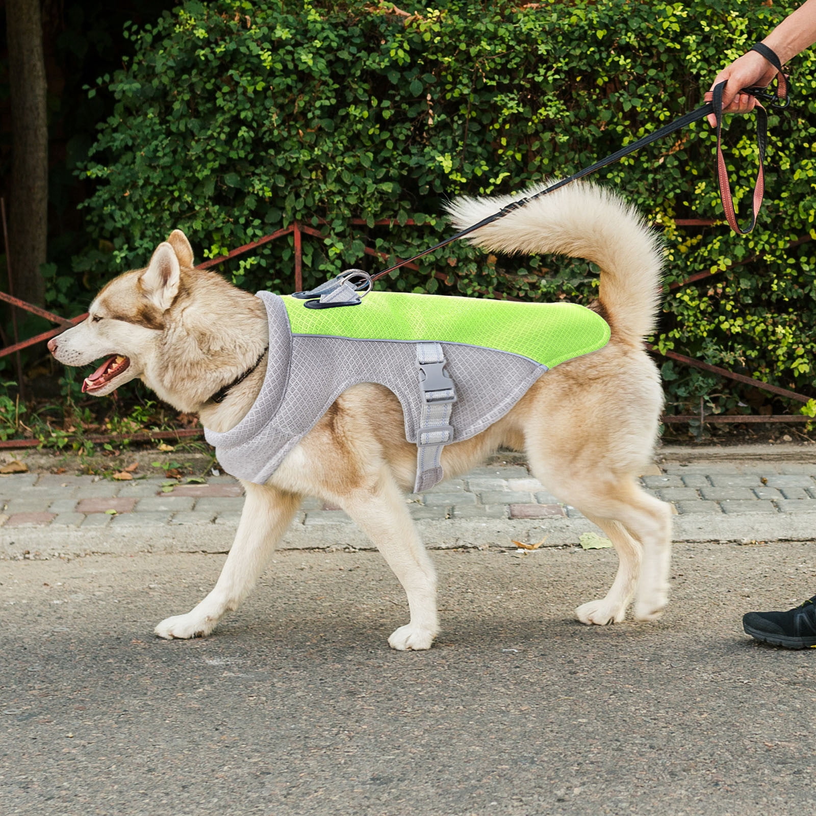 Chest Strap for Dogs Breathable Summer Vest Harness with Adjustable Fit for Small Medium and Large Outdoor Outdoor Use