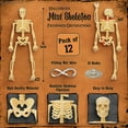 thumbnail image 2 of KatchOn, 12 Pcs Halloween Mini Skeletons Figurines - 6 Inch | Small Skeleton Figure for Crafts | Posable Halloween Little Skeletons, Halloween Party Decor | Miniature Skeletons, Halloween Decorations, 2 of 6