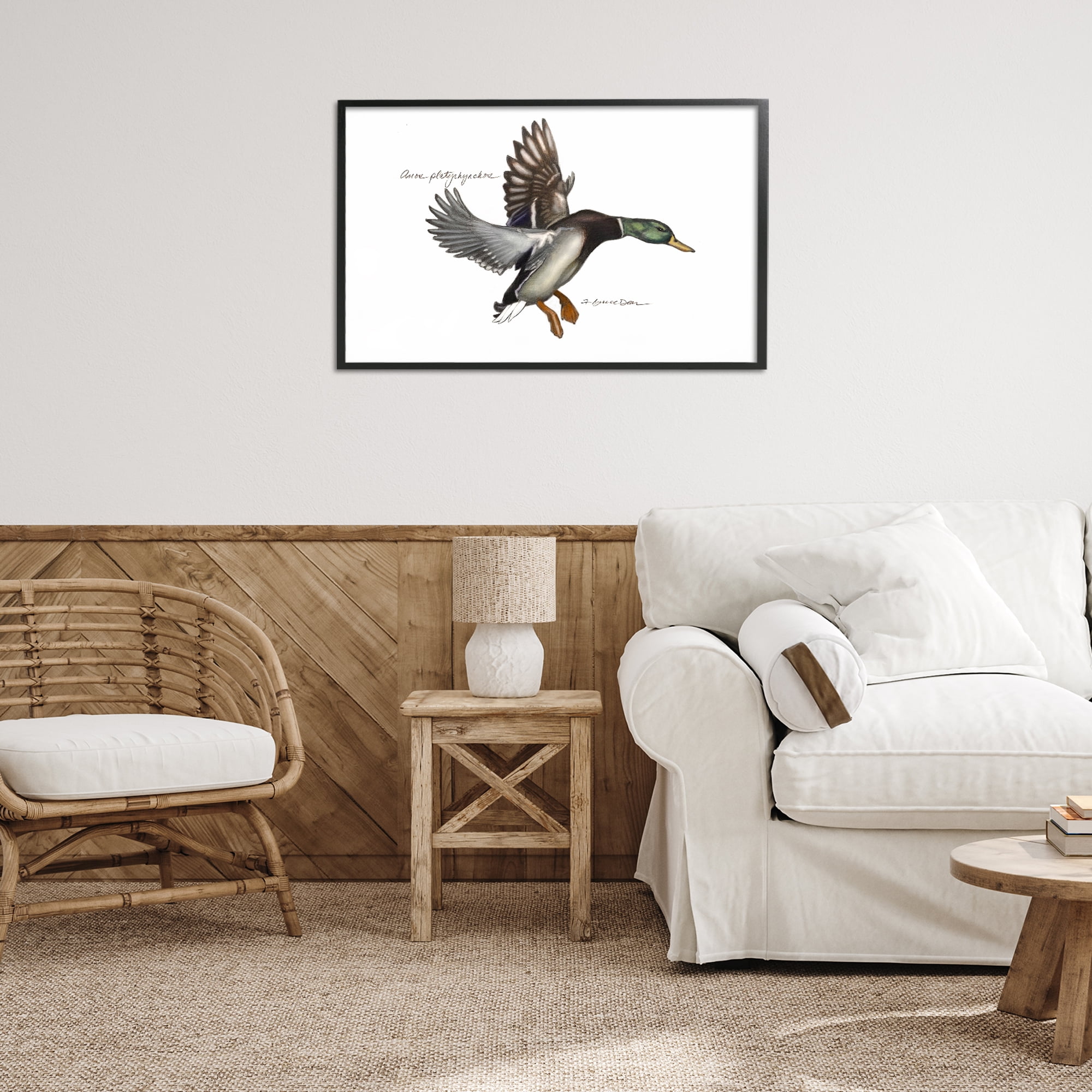 Stupell Industries Flying Mallard Duck Animals & Insects Painting Black Framed Art Print Wall Art, 30 x 20