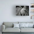 thumbnail image 2 of Trademark Fine Art 'Palm Fronds Black And White' Canvas Art by Debra Van Swearingen, 2 of 4