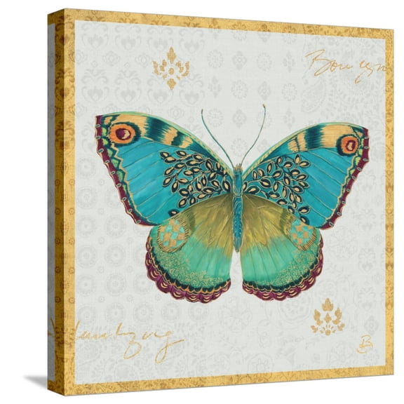 Art.com Bohemian Wings Butterfly VA Stretched Canvas Print Wall Art by Daphne Brissonnet, 16" x 16"