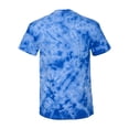 thumbnail image 3 of Paw Print Tie-Dye T-Shirt, 3 of 4