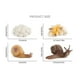 thumbnail image 5 of Kit de juguetes con forma de insecto y ciclo de vida de animales, 4 piezas, 5 of 5