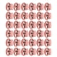 thumbnail image 2 of 30Pcs Metal Cord Locks Double Hole Zinc Alloy Durable Light Multi Purpose Cord Stopper for Drawstring Backpack Tent Lace Pink, 2 of 5