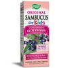 (2 pack) (2 pack) Nature's Way Original Sambucus Standardized Elderberry Syrup for Kids, 4 Oz