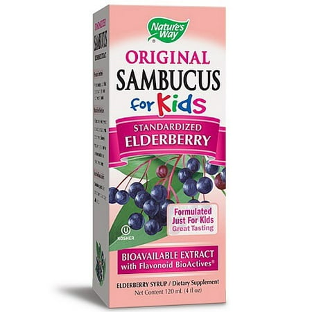 (2 pack) Nature's Way Original Sambucus Standardized Elderberry Syrup for Kids, 4
