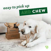 Benebone Medium 4-Pack Dog Chew Toys for Aggressive Chewers, 60lbs and Under