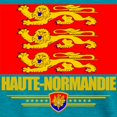 thumbnail image 3 of CafePress - Haute Normandie (Flag 10) T Shirt - Womens Tri-blend T-Shirt, 3 of 4