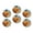 C0849, variant on Glass Refrigerator Magnet 6Pcs Magnetic Fridge Sticker,Decor for Kitchen,Whiteboard,Cabinet,Dark Style Floral Skull