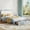 ‎Blue, variant on Blue Princess Twin Bed Frame with LED Lights, Velvet Cat Headboard Platform, Heavy-Duty Legs, Enhanced Stability, No Box Spring Needed, App/Remote Control