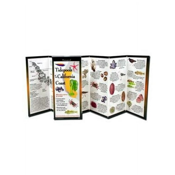 Foldingguides(tm): Tidepools of the California Coast (Other)