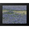 thumbnail image 2 of Highmith, Carol 24x19 Black Modern Framed Museum Art Print Titled - A profusion of Bluebonnets, in a field in Boerne, TX, 2 of 5